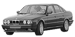 BMW E34 P0A2A Fault Code